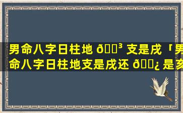 男命八字日柱地 🌳 支是戌「男命八字日柱地支是戌还 🌿 是亥」